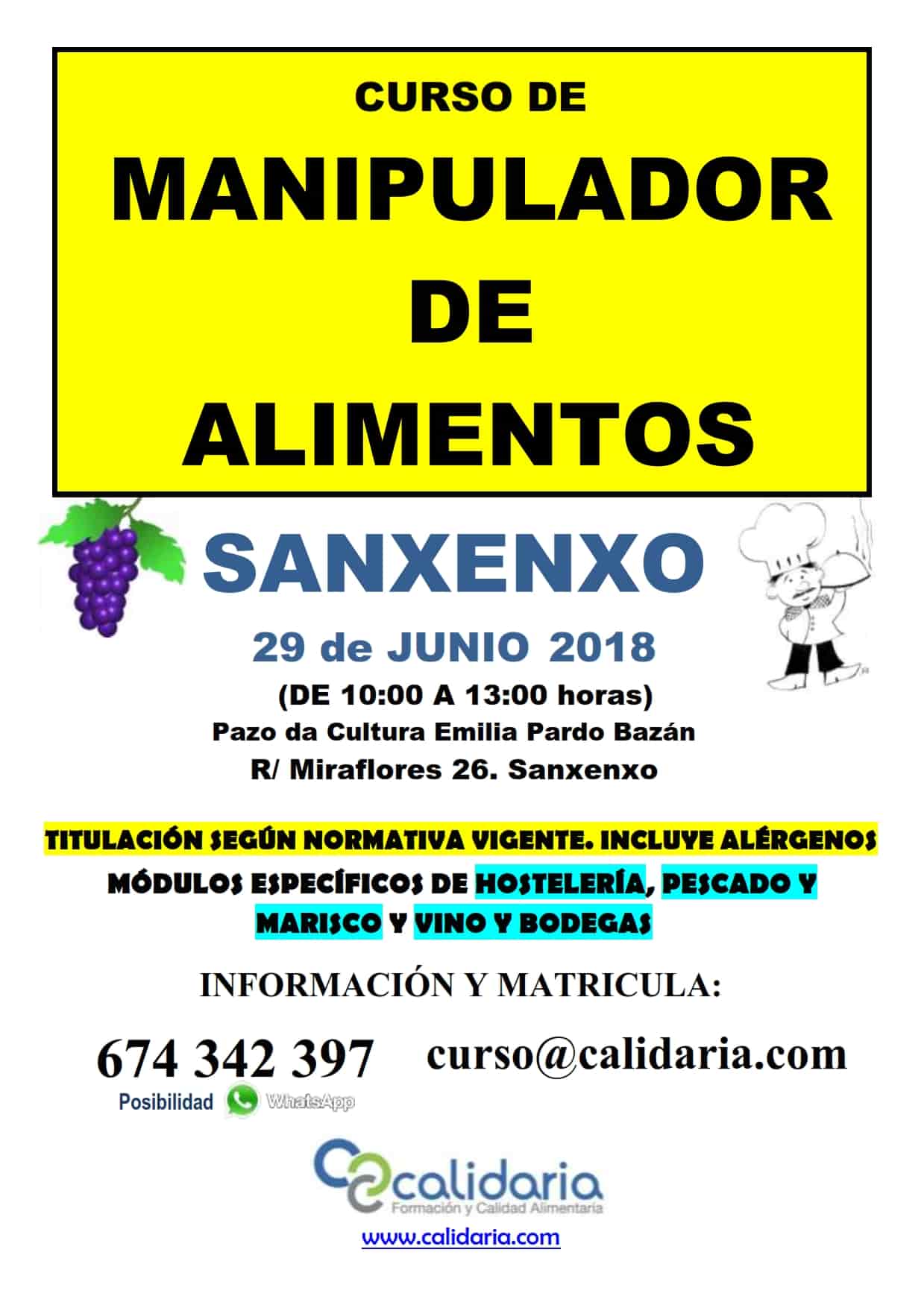 CARTEL CURSO DE MANIPULADOR DE ALIMENTOS SANXE JUNIO 2018 001